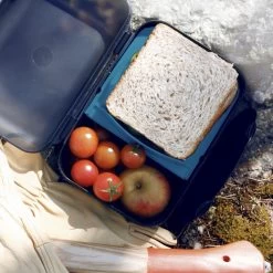 Tupperware Snackpack Blauw -Voedselopslag Winkel 1200x1200 420