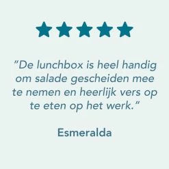 Lock&Lock Saladebox - Salade Lunchbox To Go - Salade To Go - 950 Ml - Lekvrij - Met Verdeelvakjes - Groen -Voedselopslag Winkel 1200x1200 66