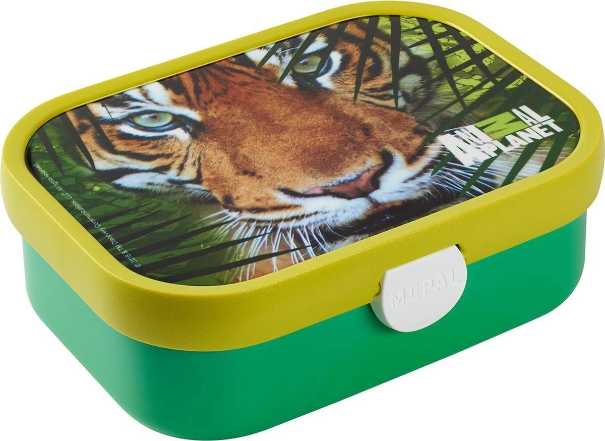 Mepal – Lunchset Campus (sb + Lb) – Schoolbeker En Broodtrommel Voor Kinderen – Animal Planet Tiger – Bento Box - Lekvrij 2 Mepal – Lunchset Campus (sb + Lb) – Schoolbeker En Broodtrommel Voor Kinderen – Animal Planet Tiger – Bento Box - Lekvrij - Afbeelding 2